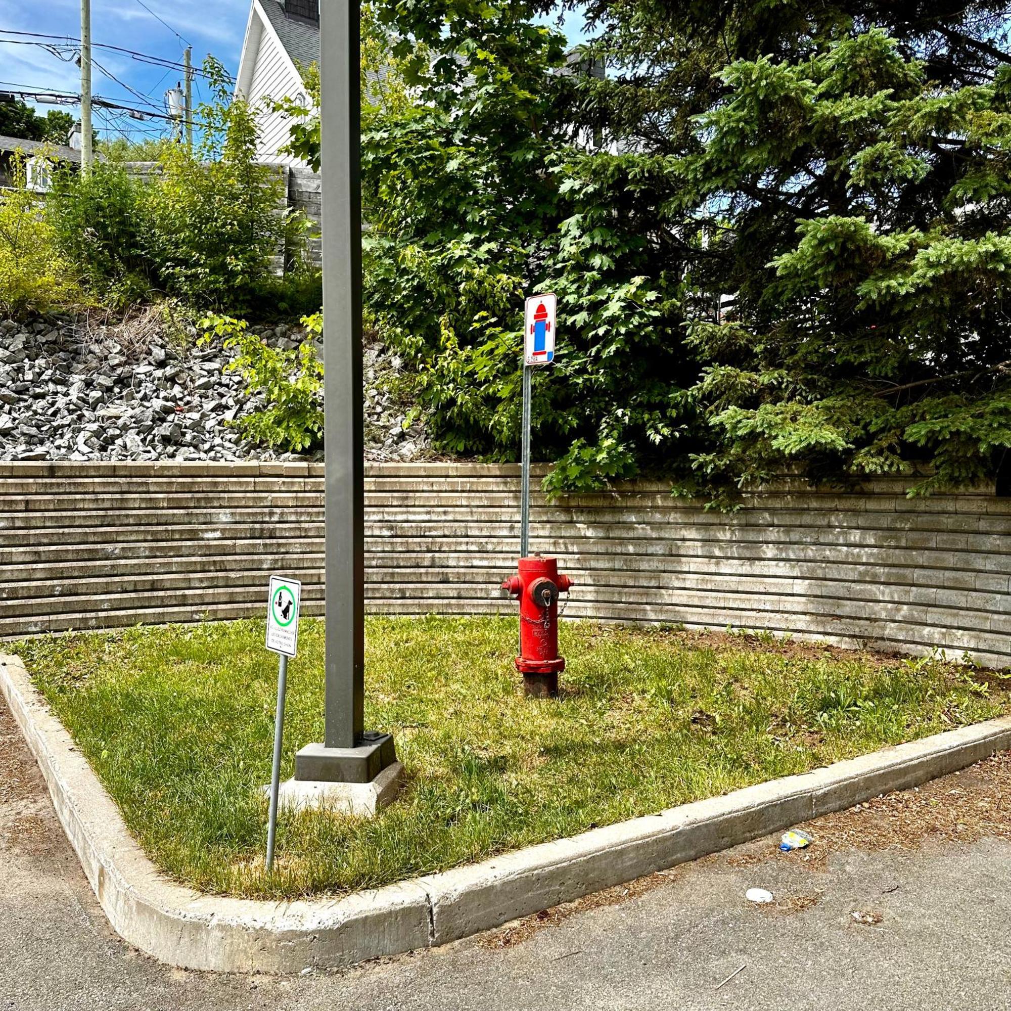 Initial - Cavalier - Chutes-Montmorency Boischatel Екстер'єр фото